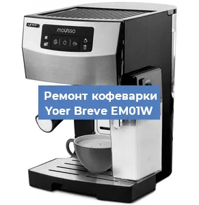 Ремонт клапана на кофемашине Yoer Breve EM01W в Тюмени